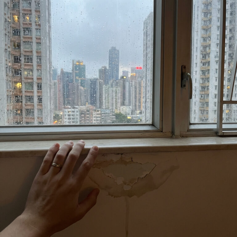 What Every Expatriate Must Know About Home Insurance in Hong Kong
